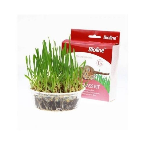 Bioline Cat Grass Kit-12g