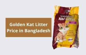 Golden Kat Litter Review