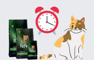 How Long Does Reflex Cat Food Last