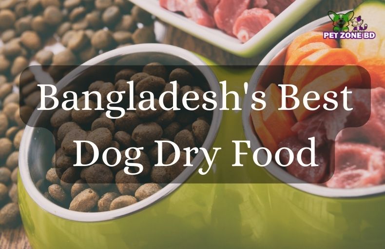 Bangladesh'S Best Dog Dry Food