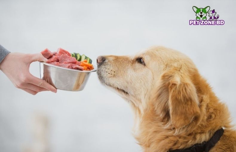 What Do Dogs Require In Terms Of Nutrition?