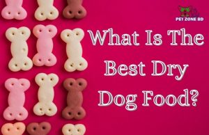 What is the best dry dog food?