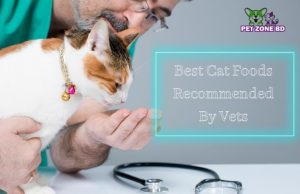 Best Cat Food Brands Recommended By Vets