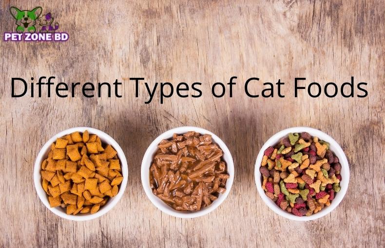 Different Types of Cat Foods Available in Bangladesh