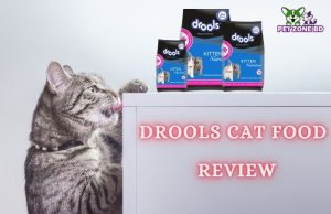 Drools Cat Food Review