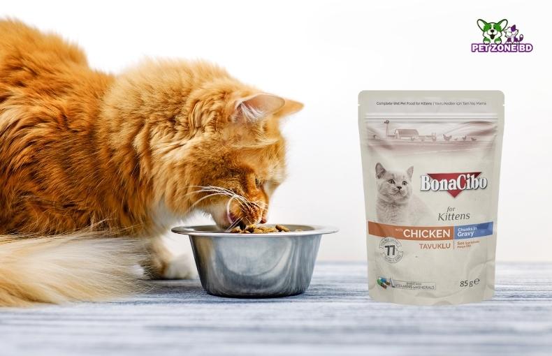 Bonacibo Cat Food Review
