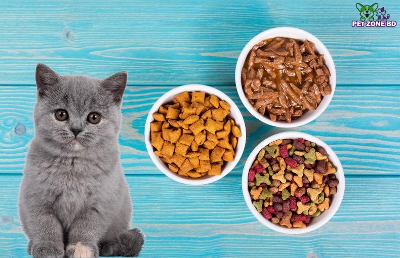 Different Types of Cat Food