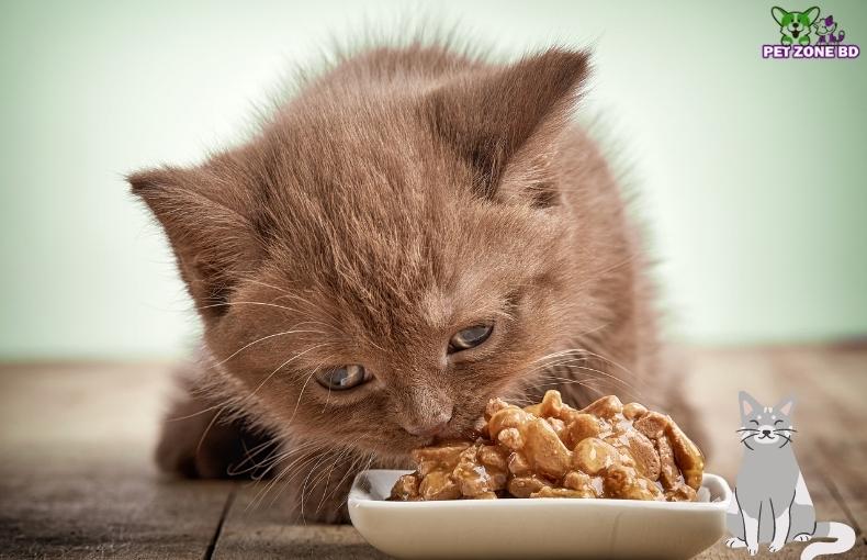 Is Meow Meow Cat Food Good for Your Cat