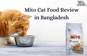 Mito Cat Food Review in Bangladesh