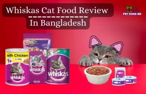Whiskas Cat Food Review