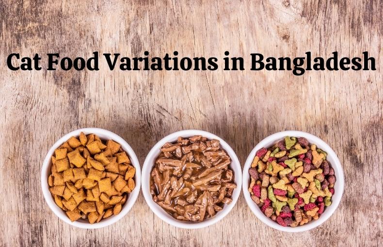Cat Foods and their Variations in Bangladesh