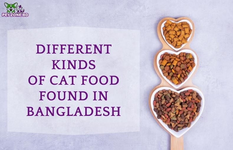 Different Kinds of Cat Food Found in Bangladesh