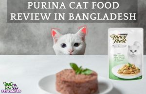 Purina Cat Food Review in Bangladesh