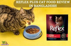 Reflex Plus Cat Food Review in Bangladesh