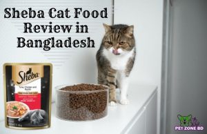 Sheba Cat Food Review in Bangladesh