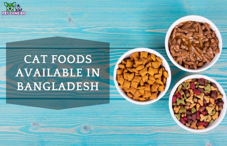 What Are the Cat Foods Available in Bangladesh?