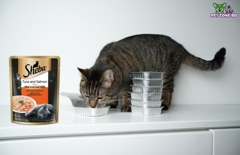 Why You Should Choose Sheba Cat Food