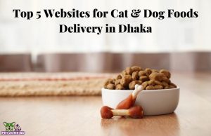 Top 5 Websites for Cat & Dog Foods Delivery in Dhaka