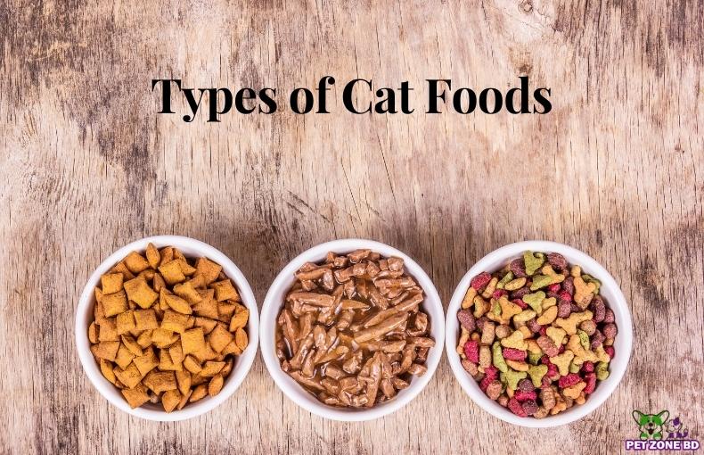 What are the Different Types of Cat Foods Available in Bangladesh?