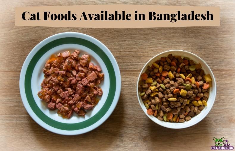 Kinds of Cat Foods Available in Bangladesh