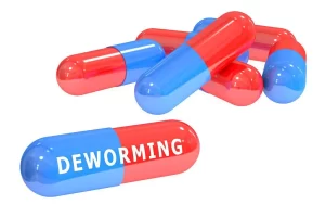 Deworming Tablet for Cat and Dog