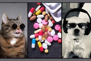 Helminticide-L Tablet for Cat & Dog
