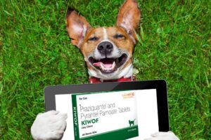 Kiwof Tablet for Cat & Dog