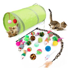 Cat Toy Set with Tunnel Toy