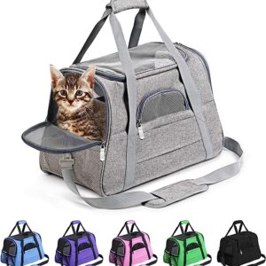 Pet Carrier Bag For Cat And Dog