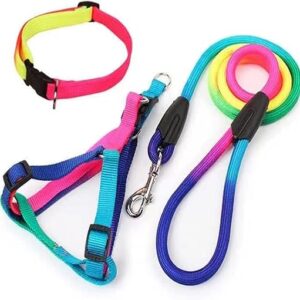 Colourful Cat Harnesses