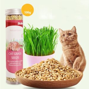 Bioline Cat Grass Seeds
