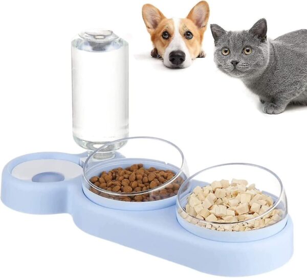 Cat Food Bowl Set