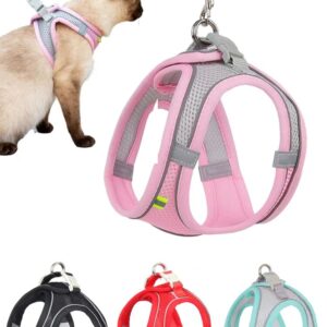 Cat Body Harness And leash