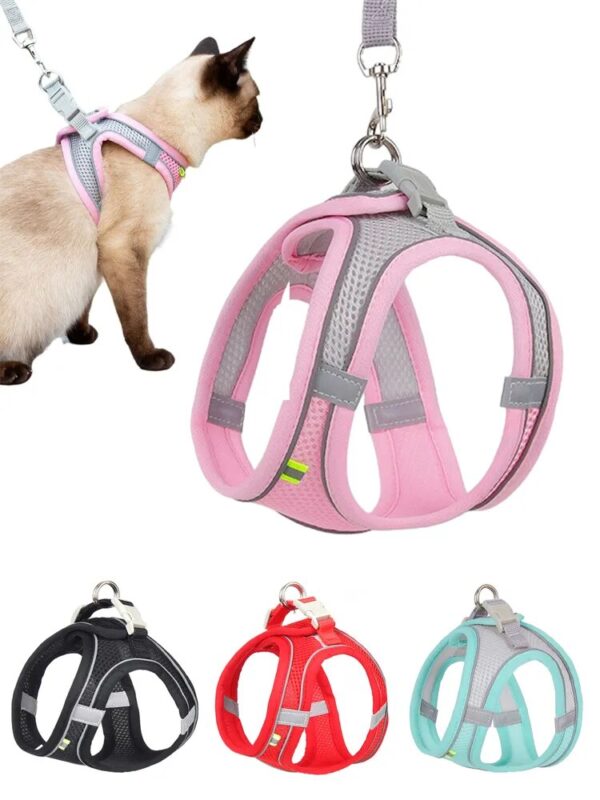 Cat Body Harness And leash