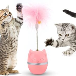Cat Toy Tumbler with Feather