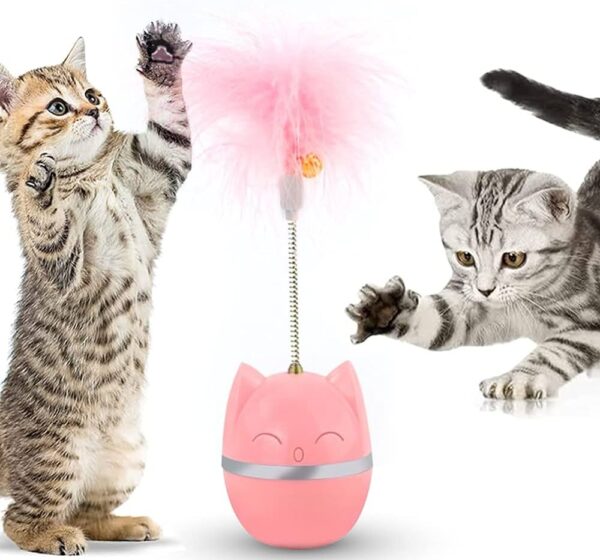 Cat Toy Tumbler with Feather