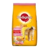 Pedigree Puppy Dry Dog Food Chicken and Milk 1kg